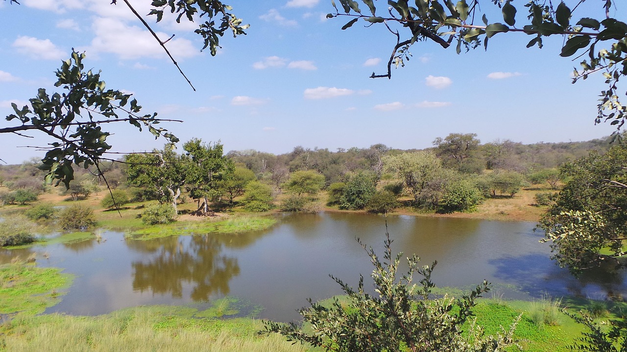Limpopo